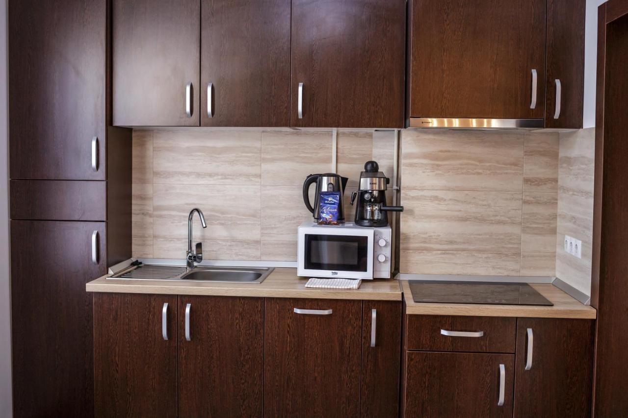 Apartament Family Rivulus 10 Baia Mare Exteriér fotografie
