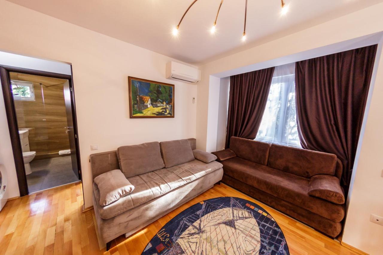 Apartament Family Rivulus 10 Baia Mare Exteriér fotografie